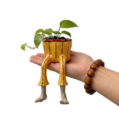 Sitting Pretty – Decorative Planter Pots