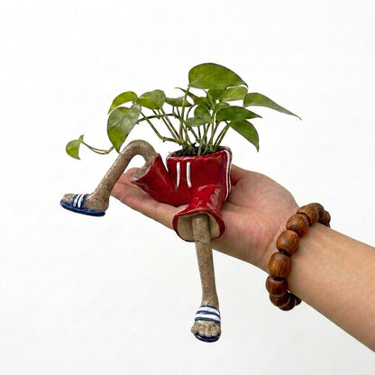 Sitting Pretty – Decorative Planter Pots
