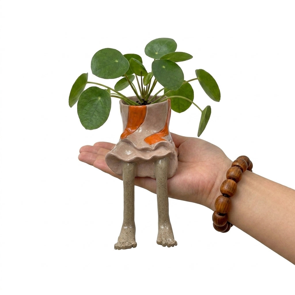 Sitting Pretty – Decorative Planter Pots