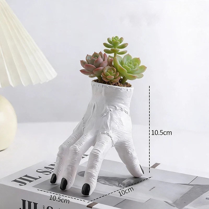White hand-shaped planter with succulents on a magazine, measurements indicated.